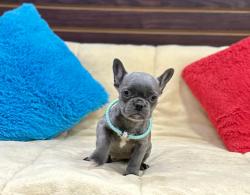 Click sobre la imagen para ampliarla