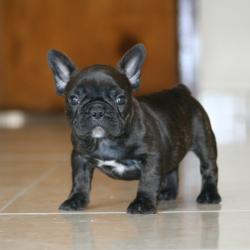 Click sobre la imagen para ampliarla