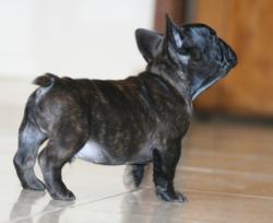 Click sobre la imagen para ampliarla