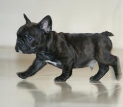 Click sobre la imagen para ampliarla