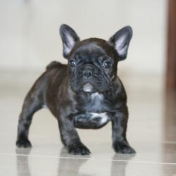 Click sobre la imagen para ampliarla