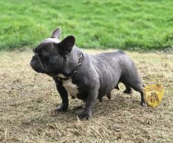 Click sobre la imagen para ampliarla