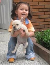 Click sobre la imagen para ampliarla