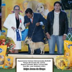 Click sobre la imagen para ampliarla