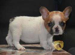 Click sobre la imagen para ampliarla