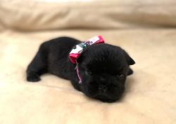 Click sobre la imagen para ampliarla