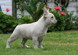 Click sobre la imagen para ampliarla