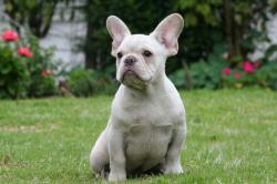 Click sobre la imagen para ampliarla