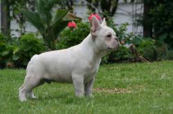 Click sobre la imagen para ampliarla