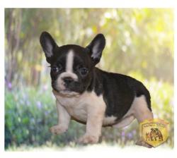 Click sobre la imagen para ampliarla