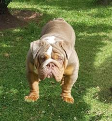 Click sobre la imagen para ampliarla