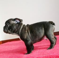 Click sobre la imagen para ampliarla