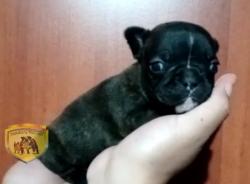 Click sobre la imagen para ampliarla