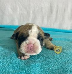 Click sobre la imagen para ampliarla