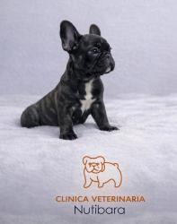 Click sobre la imagen para ampliarla