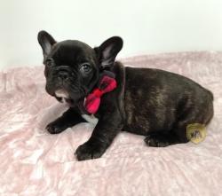 Click sobre la imagen para ampliarla