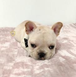 Click sobre la imagen para ampliarla