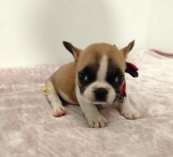 Click sobre la imagen para ampliarla