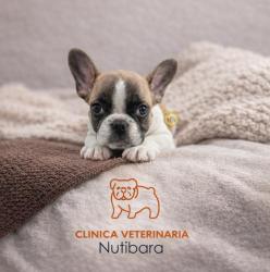 Click sobre la imagen para ampliarla