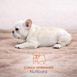 Click sobre la imagen para ampliarla