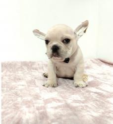 Click sobre la imagen para ampliarla