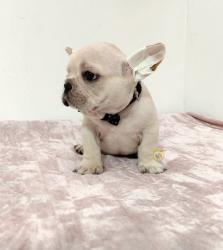 Click sobre la imagen para ampliarla