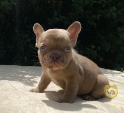 Click sobre la imagen para ampliarla