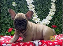 Click sobre la imagen para ampliarla