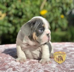 Click sobre la imagen para ampliarla