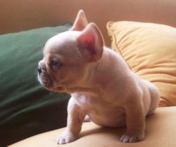 Click sobre la imagen para ampliarla