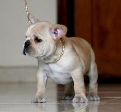 Click sobre la imagen para ampliarla