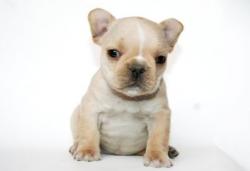 Click sobre la imagen para ampliarla