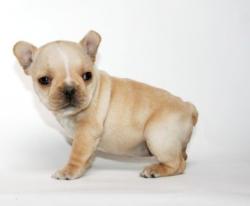 Click sobre la imagen para ampliarla