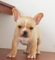 Click sobre la imagen para ampliarla