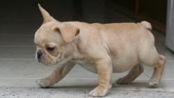 Click sobre la imagen para ampliarla