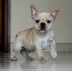 Click sobre la imagen para ampliarla