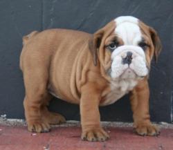 Click sobre la imagen para ampliarla