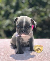 Click sobre la imagen para ampliarla