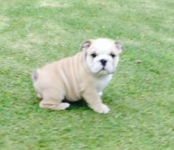 Click sobre la imagen para ampliarla