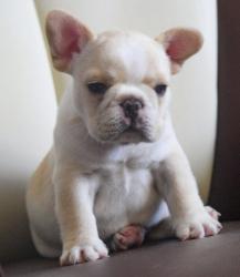 Click sobre la imagen para ampliarla