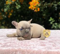 Click sobre la imagen para ampliarla