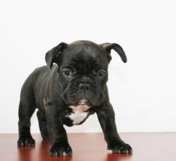 Click sobre la imagen para ampliarla