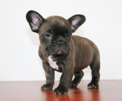 Click sobre la imagen para ampliarla