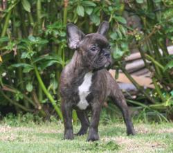 Click sobre la imagen para ampliarla