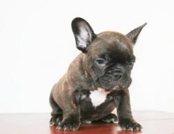 Click sobre la imagen para ampliarla