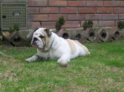 Click sobre la imagen para ampliarla