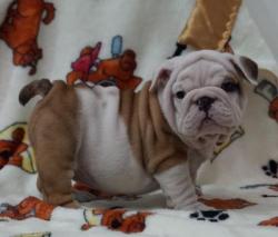 Click sobre la imagen para ampliarla