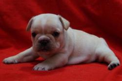 Click sobre la imagen para ampliarla