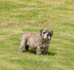 Click sobre la imagen para ampliarla