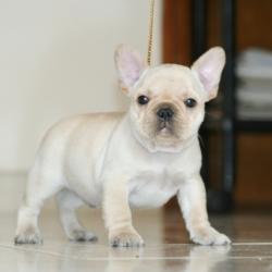 Click sobre la imagen para ampliarla